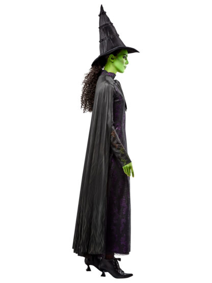 WICKED - ELPHABA COSTUME, ADULT - Image 3
