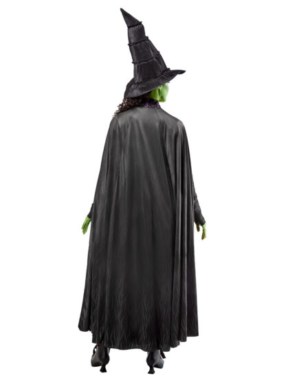 WICKED - ELPHABA COSTUME, ADULT - Image 5
