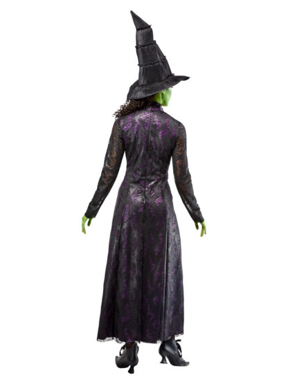 WICKED - ELPHABA COSTUME, ADULT - Image 4
