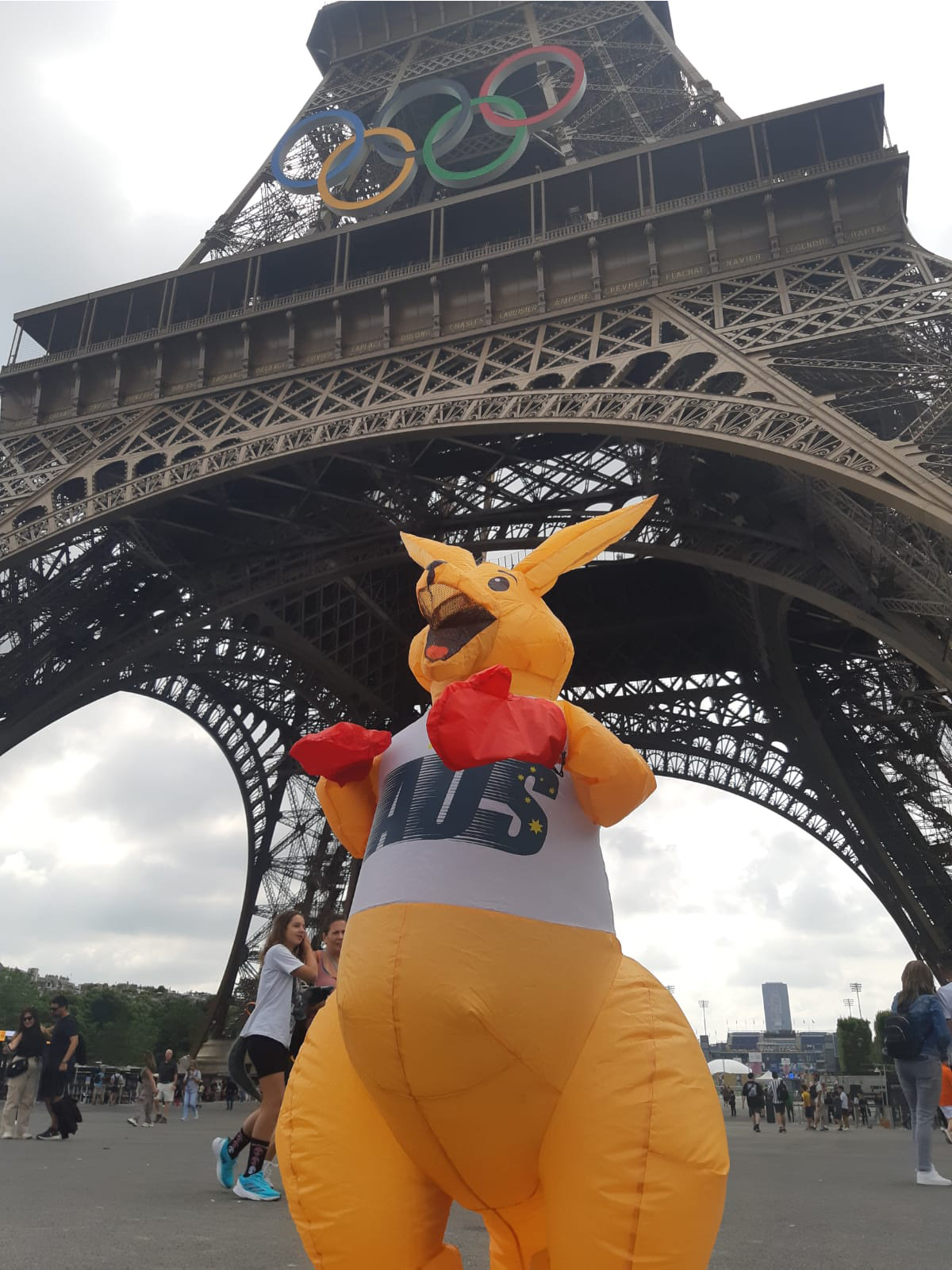 BOXING KANGAROO INFLATABLE COSTUME, ADULT - Image 6