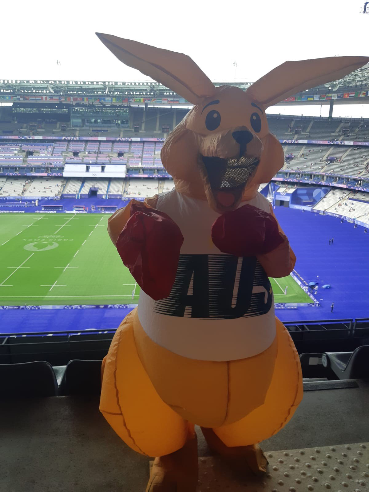 BOXING KANGAROO INFLATABLE COSTUME, ADULT - Image 5