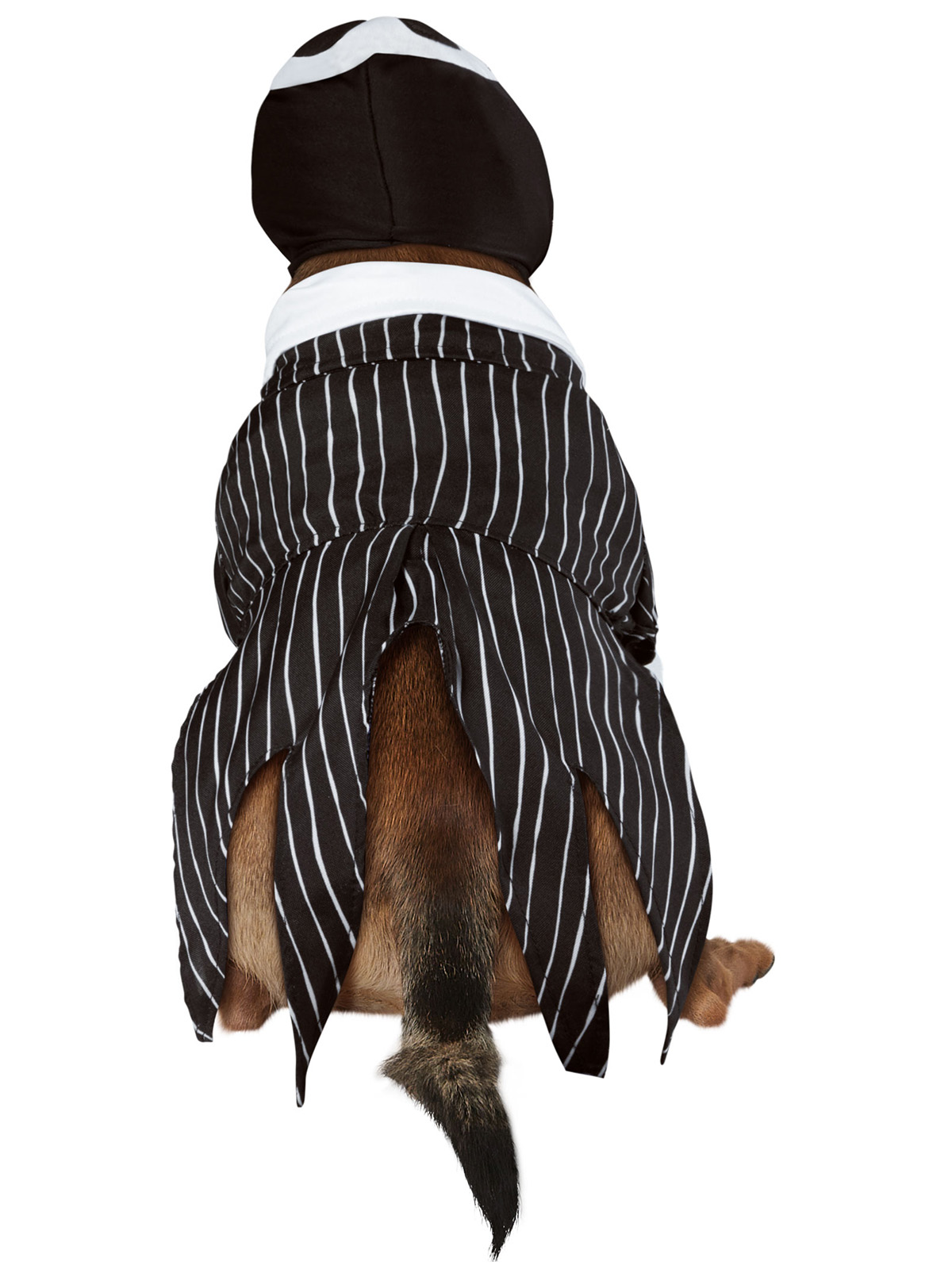 JACK SKELLINGTON PET COSTUME - Image 4