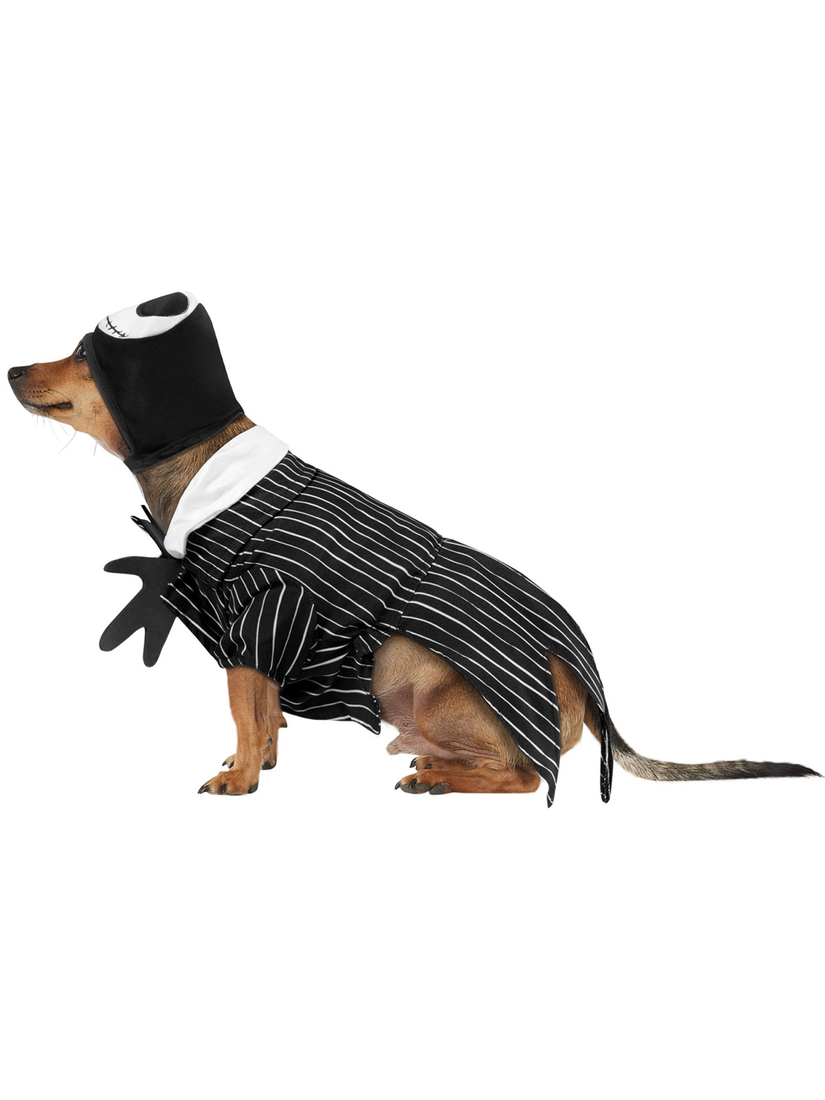 JACK SKELLINGTON PET COSTUME - Image 3