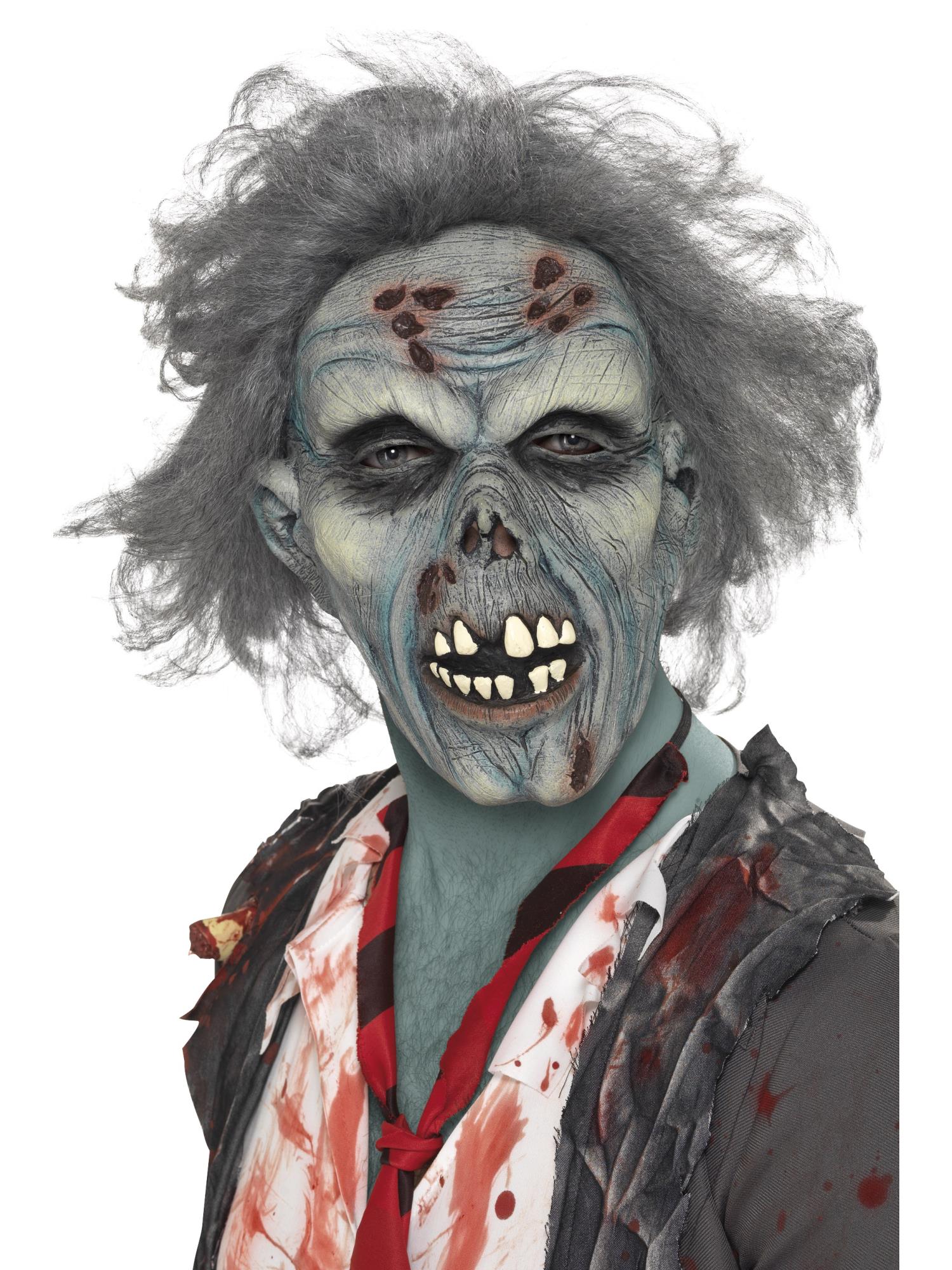 DECAYING ZOMBIE MASK, ADULT