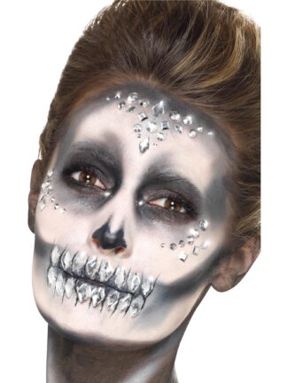 SILVER JEWEL FACE GEMS