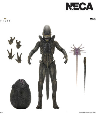 ALIEN EARTH - ULTIMATE XENOMORPH 7" SCALE ACTION FIGURE