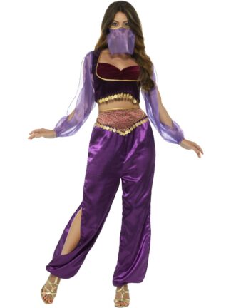 ARABIAN PRINCESS COSTUME, ADULT