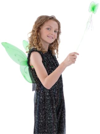 BUTTERFLY WINGS & WAND SET, CHILD