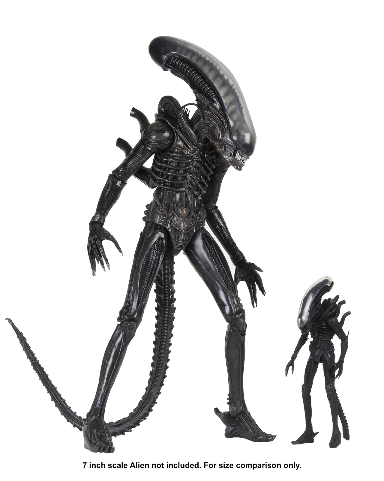 ALIENS 40TH ANNIVERSARY BIG CHAP 1/4 SCALE ACTION FIGURE - Image 2