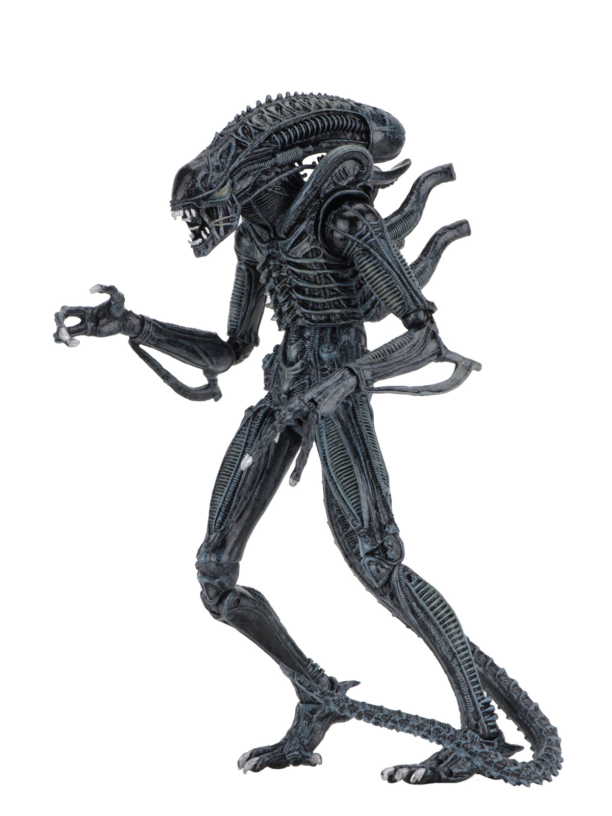 ALIENS ULTIMATE ALIENS WARRIOR (1986) BLUE - 7" SCALE ACTION FIGURE - Image 2