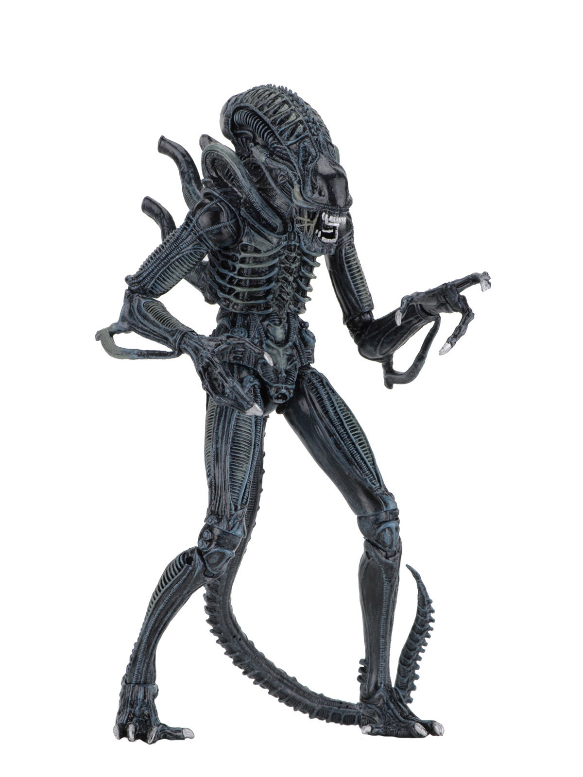 ALIENS ULTIMATE ALIENS WARRIOR (1986) BLUE - 7" SCALE ACTION FIGURE - Image 3