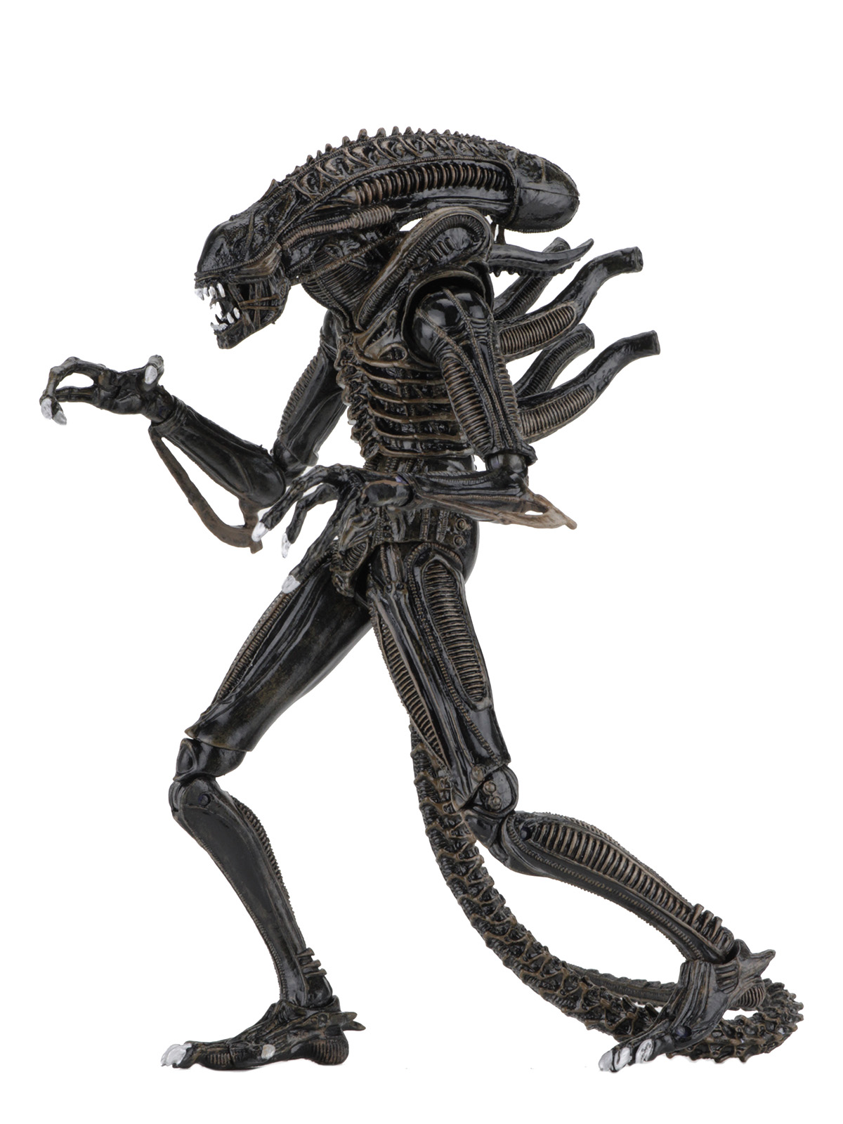 ALIENS ULTIMATE ALIENS WARRIOR (1986) BROWN - 7" SCALE ACTION FIGURE - Image 2