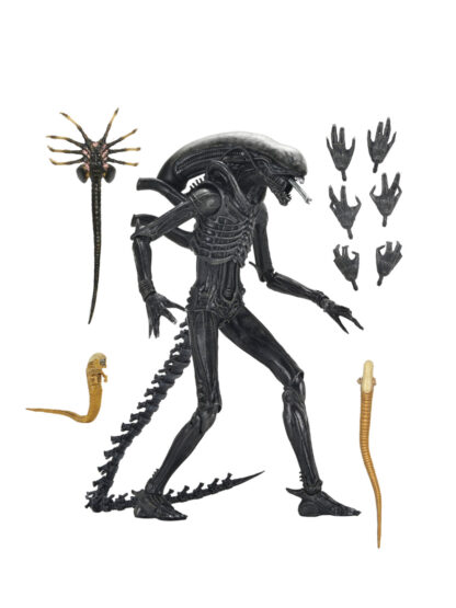 ALIEN ROMULUS - XENOMORPH XX121 ULTIMATE 7" SCALE ACTION FIGURE - Image 2