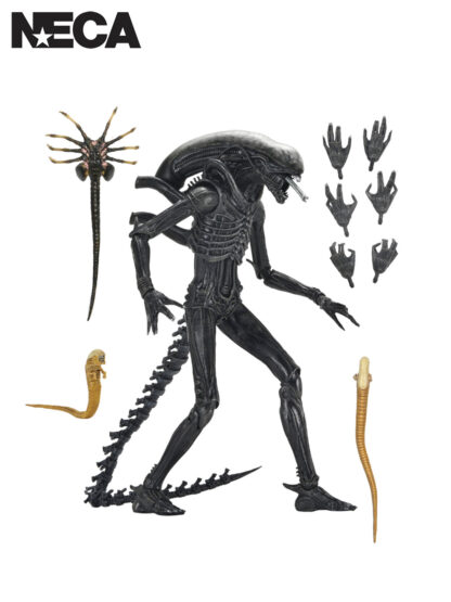 ALIEN ROMULUS - XENOMORPH XX121 ULTIMATE 7" SCALE ACTION FIGURE