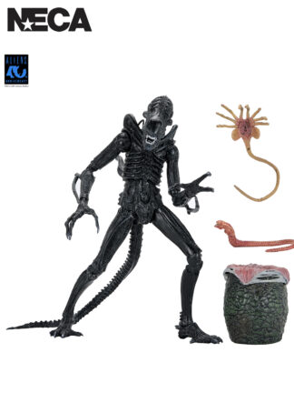 ALIENS ULTIMATE WARRIOR XENOMORPH (BLACK) 40TH ANNIVERSARY - 7" SCALE ACTION FIGURE